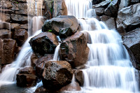 Waterfall Garden (Seattle, WA)